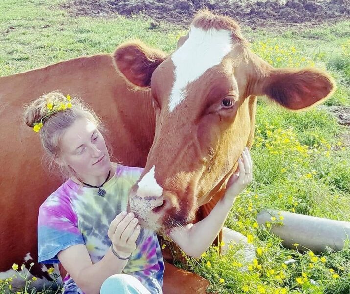 Young woman interacting lovingly with a brown cow in a grassy field adorned with yellow flowers, showcasing a bond between humans and animals in a farm setting.