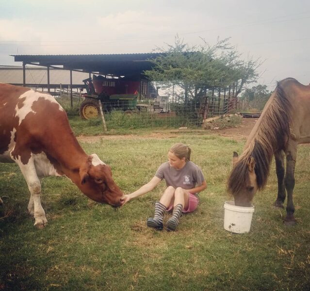Young girl interacting with a cow and a horse on a farm, sitting on grass near a bucket, with a tractor and barn in the background.