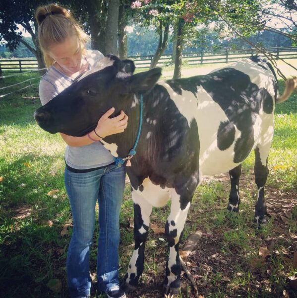 Young woman embracing a black and white dairy cow in a sunny pasture, showcasing a bond between humans and farm animals, with trees and a fence in the background.