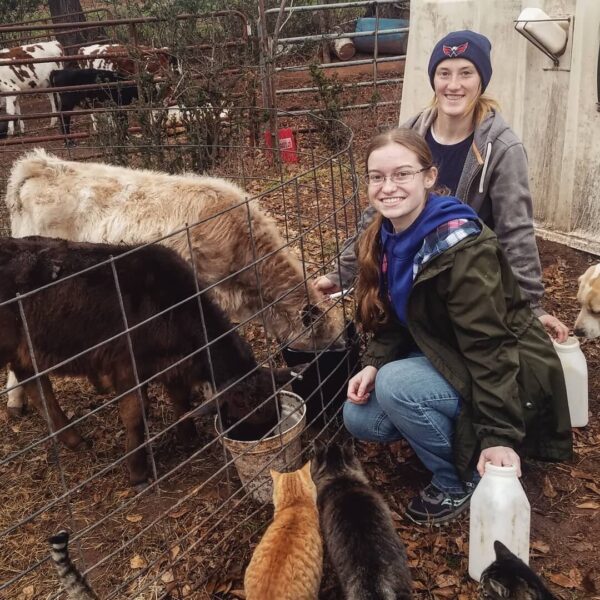 Two women feeding calves on a farm, surrounded by cats. The women are smiling and holding milk containers, while the calves drink from a bucket. The scene is set in a wooded area with fencing in the background.